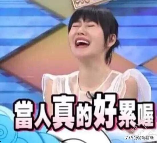 我在娱乐圈靠吃瓜爆红了